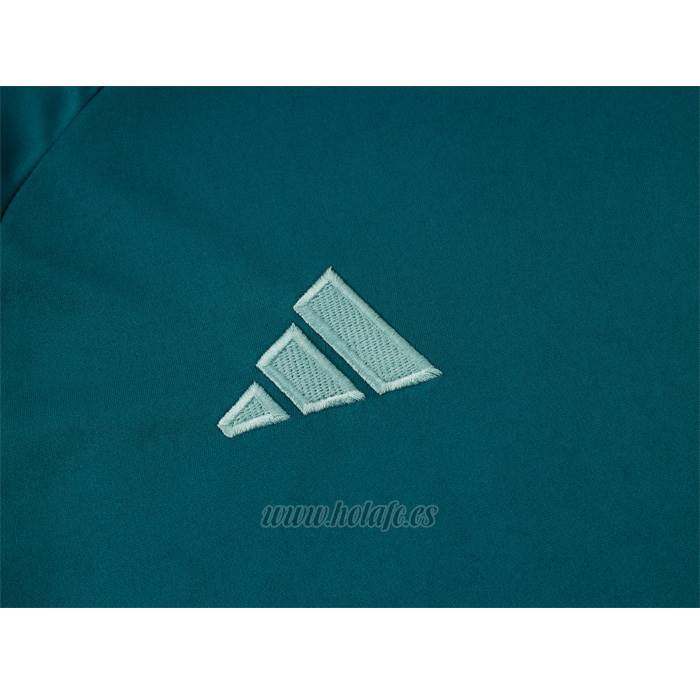 Chandal del Cruzeiro Manga Corta 2024-2025 Verde Pantalon Corto